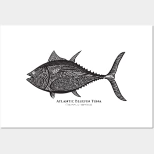 Bluefin Tuna with Common and Latin Names - fish design Posters and Art